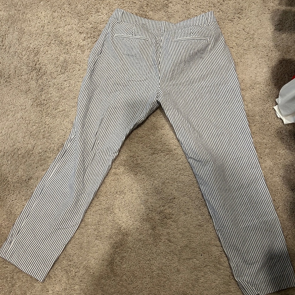 Express pant